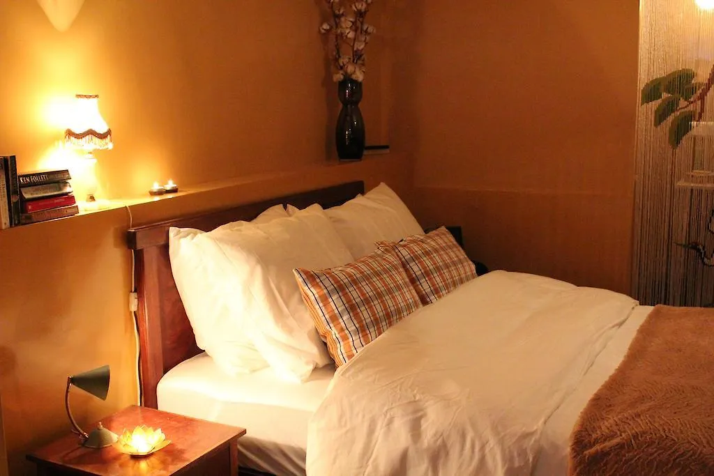 B&B Petit Paris Amsterdam Bed & Breakfast